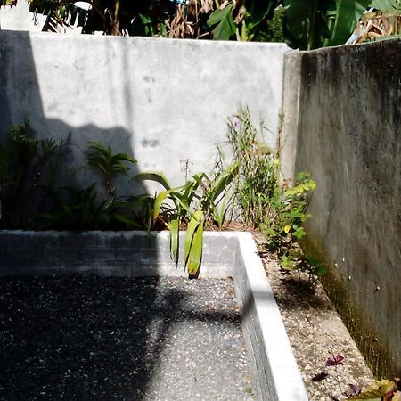 Radiya Guesthouse Sembalunlawang Bilik gambar