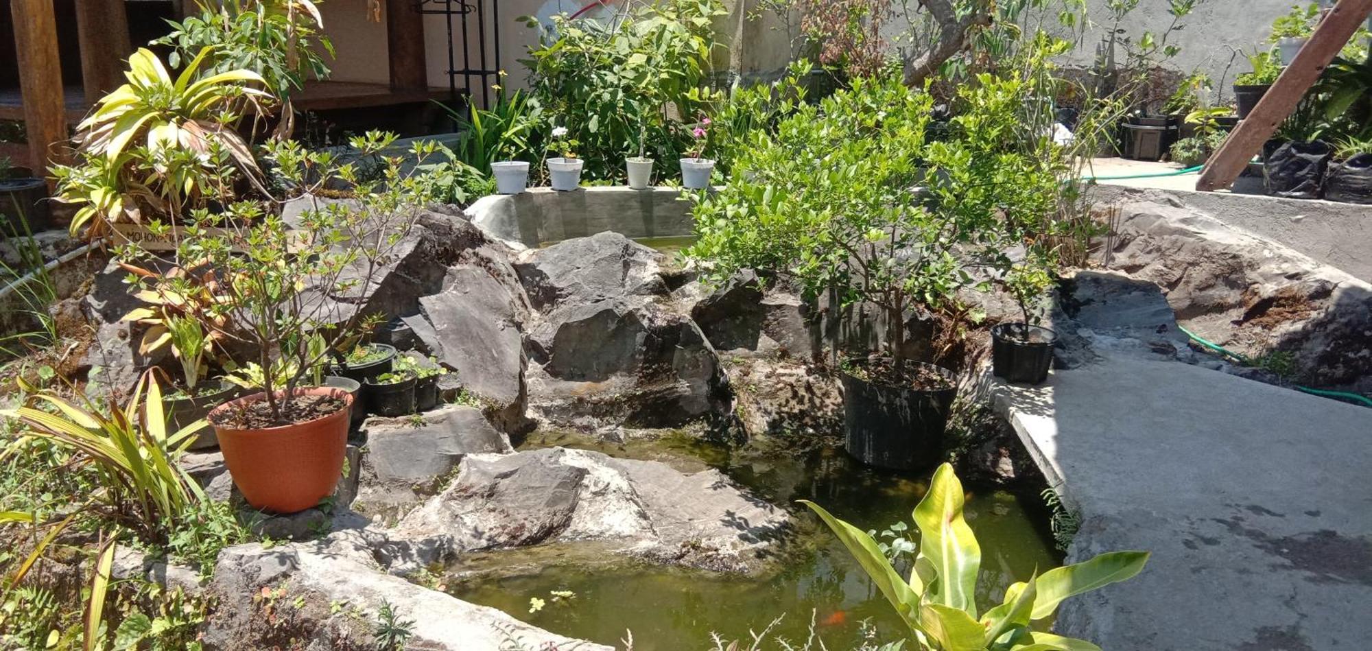Radiya Guesthouse Sembalunlawang Bilik gambar