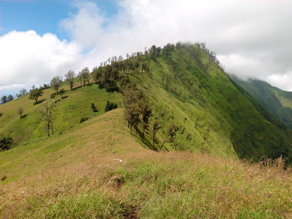 Radiya Guesthouse Sembalunlawang Luaran gambar